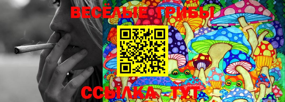 Химки  Галлюциногенные грибы Magic Shrooms  Вход с VPN 